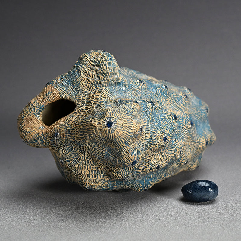 Female Sculptor Blue Shell ー向井 奈生子 “蓋物 蒼殻”