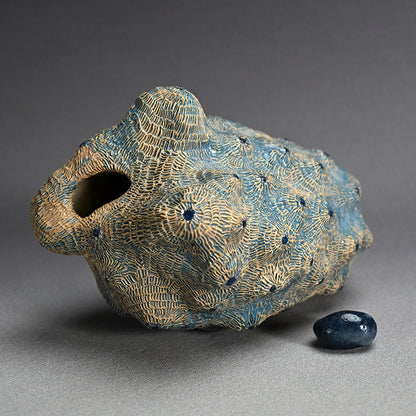 Female Sculptor Blue Shell ー向井 奈生子 “蓋物 蒼殻”