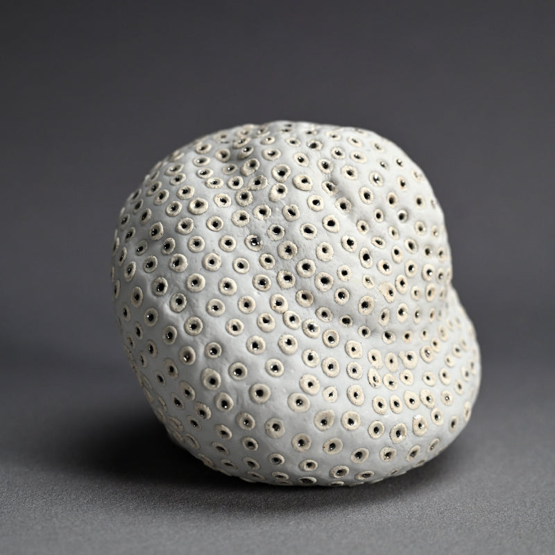 Object, White Hollow ー向井 奈生子 “白孔”