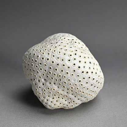 Object, White Hollow ー向井 奈生子 “白孔”