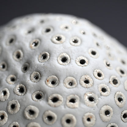 Object, White Hollow ー向井 奈生子 “白孔”