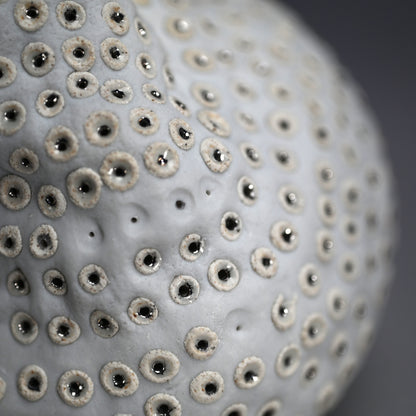 Object, White Hollow ー向井 奈生子 “白孔”