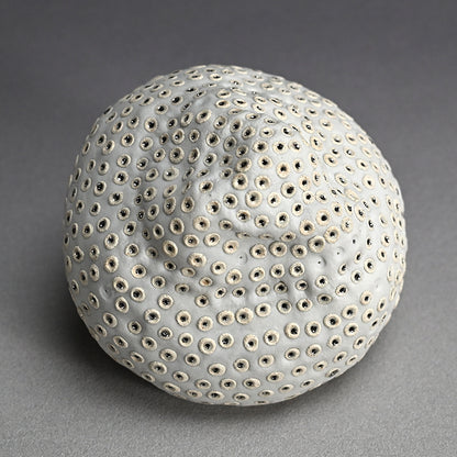 Object, White Hollow ー向井 奈生子 “白孔”