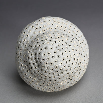 Object, White Hollow ー向井 奈生子 “白孔”