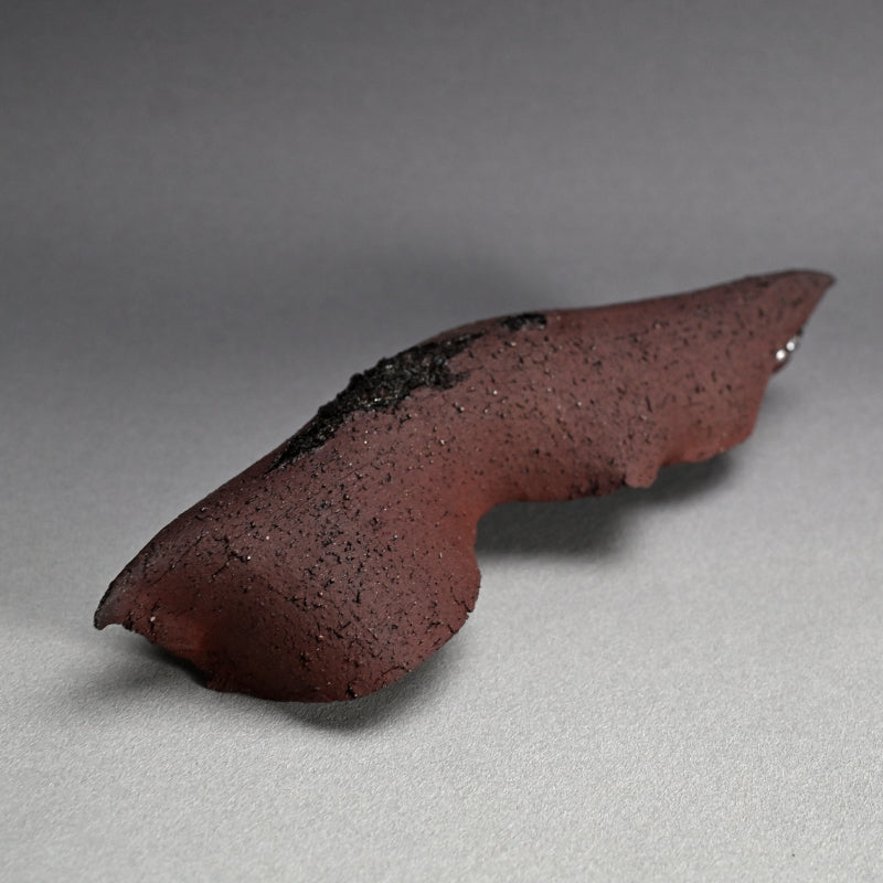 Wall-Mounted Ceramic Object ー向井 奈生子 “癒殻”