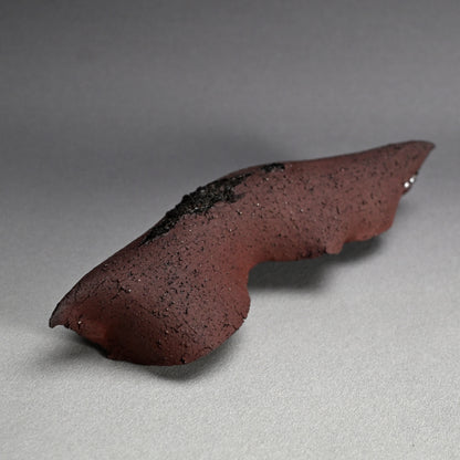 Wall-Mounted Ceramic Object ー向井 奈生子 “癒殻”