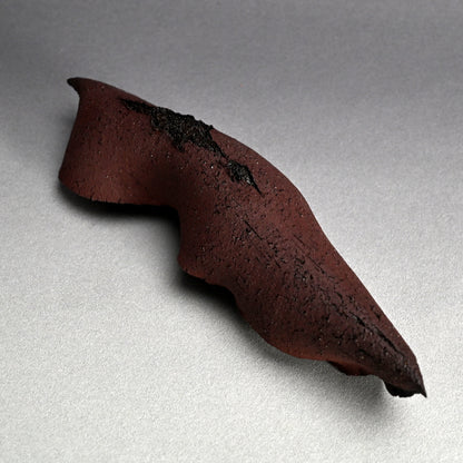 Wall-Mounted Ceramic Object ー向井 奈生子 “癒殻”