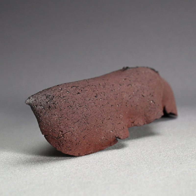 Wall-Mounted Ceramic Object ー向井 奈生子 “癒殻”