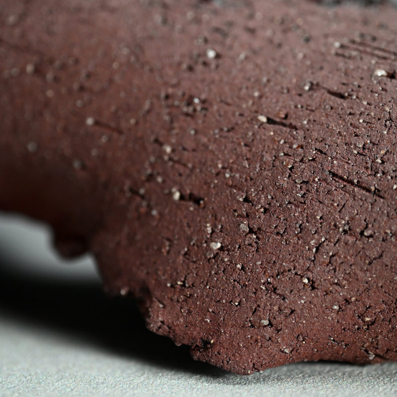 Wall-Mounted Ceramic Object ー向井 奈生子 “癒殻”