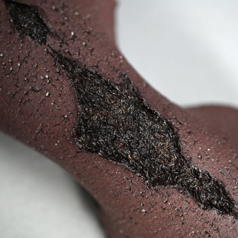 Wall-Mounted Ceramic Object ー向井 奈生子 “癒殻”