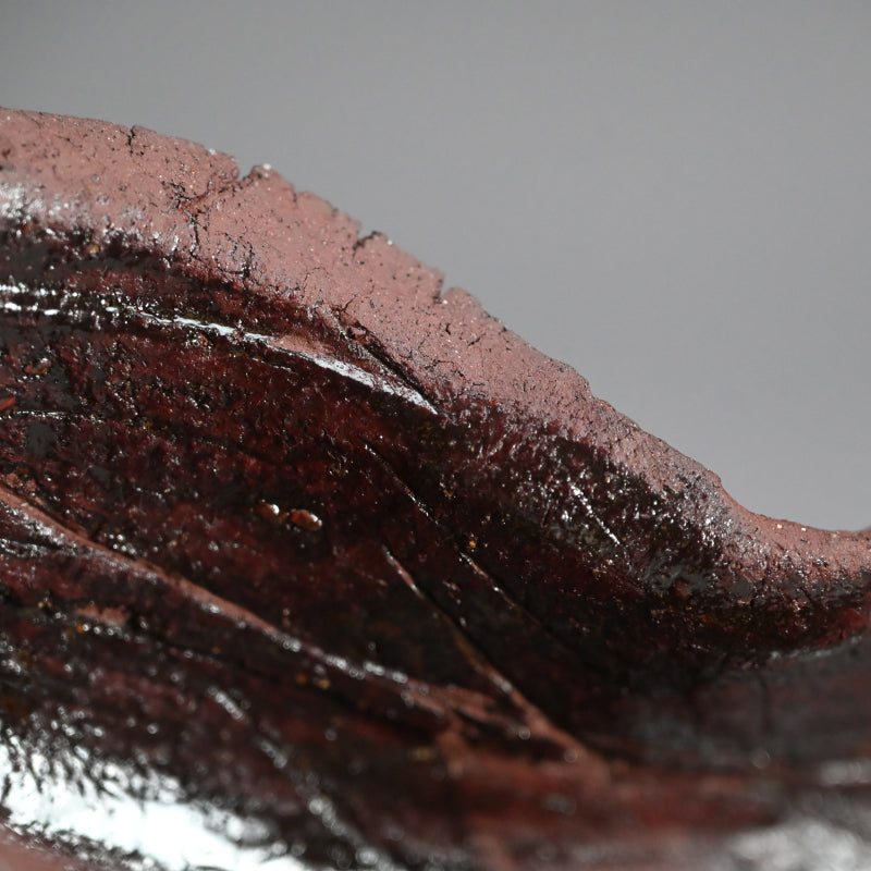 Wall-Mounted Ceramic Object ー向井 奈生子 “癒殻”