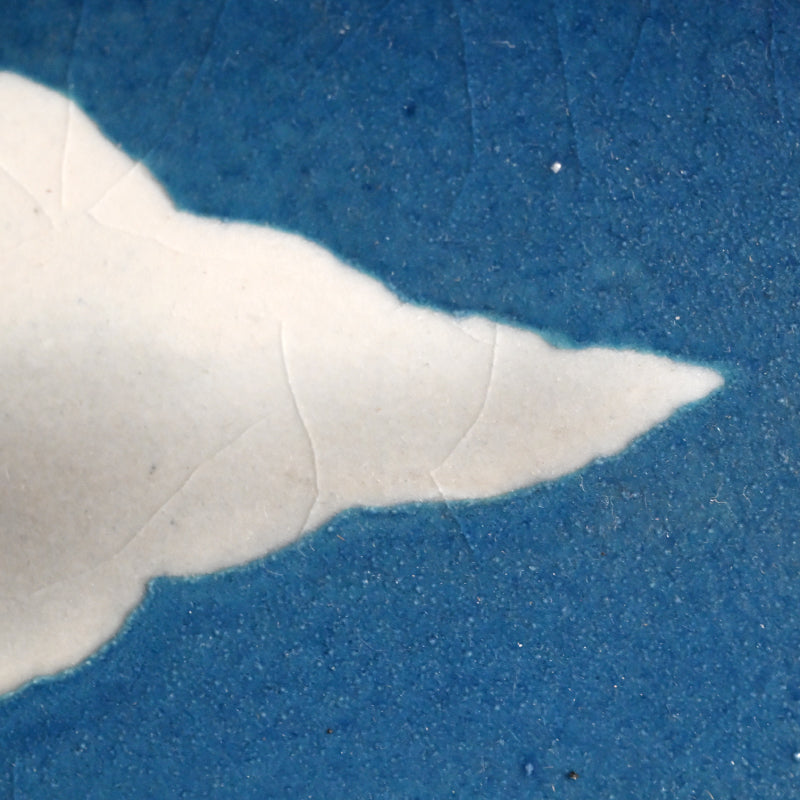 Quintessential “Tradewinds” Platter ー柳原 睦夫 “偏西風”