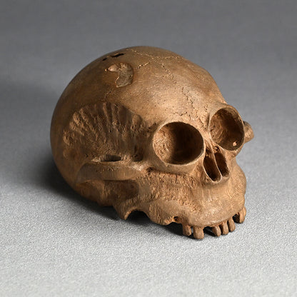 Antique Japanese Chikkon Carved Bamboo-Root Skull