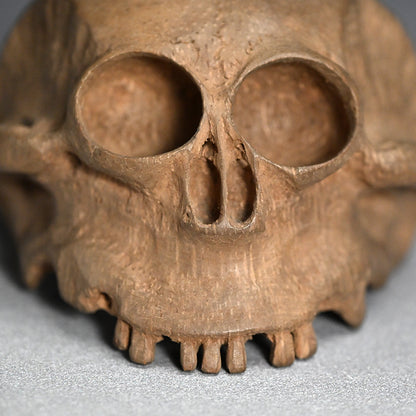 Antique Japanese Chikkon Carved Bamboo-Root Skull