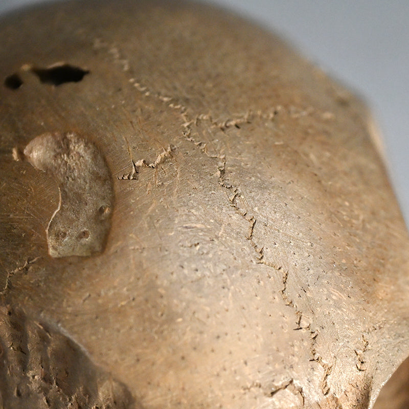 Antique Japanese Chikkon Carved Bamboo-Root Skull