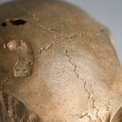 Antique Japanese Chikkon Carved Bamboo-Root Skull