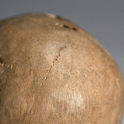 Antique Japanese Chikkon Carved Bamboo-Root Skull