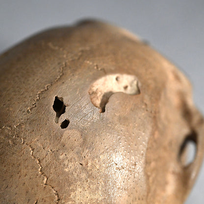 Antique Japanese Chikkon Carved Bamboo-Root Skull