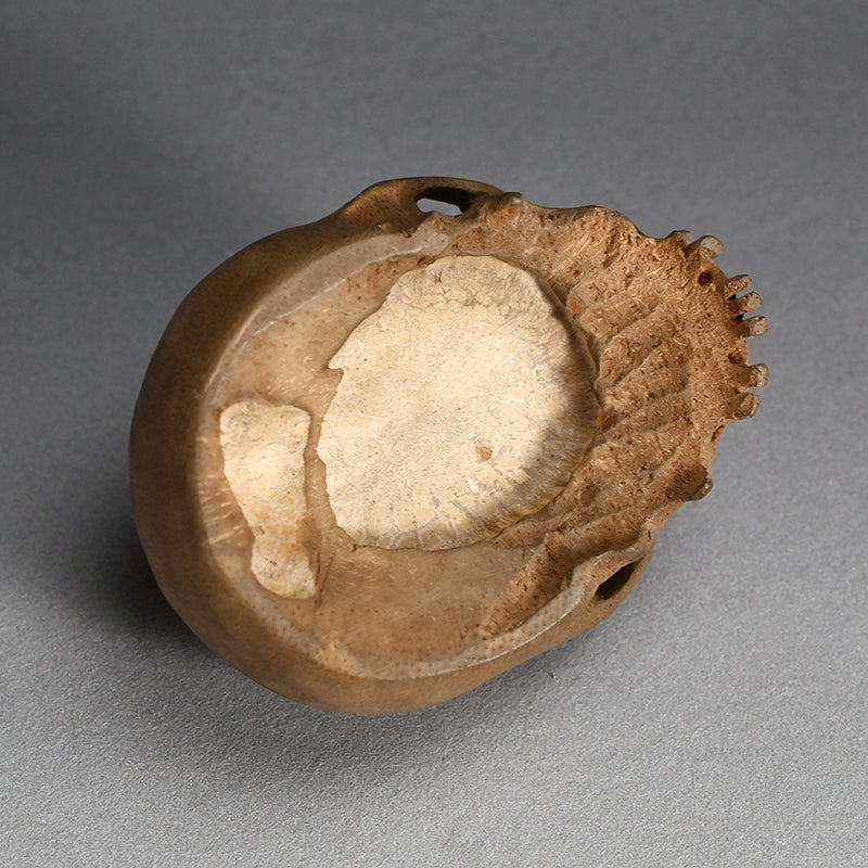 Antique Japanese Chikkon Carved Bamboo-Root Skull