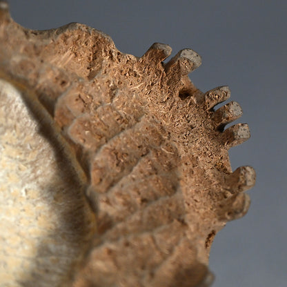 Antique Japanese Chikkon Carved Bamboo-Root Skull
