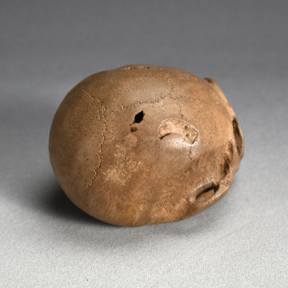 Antique Japanese Chikkon Carved Bamboo-Root Skull