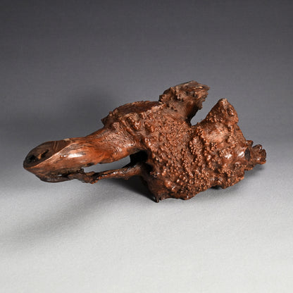 Antique Japanese polished Natural Root-Wood Stand