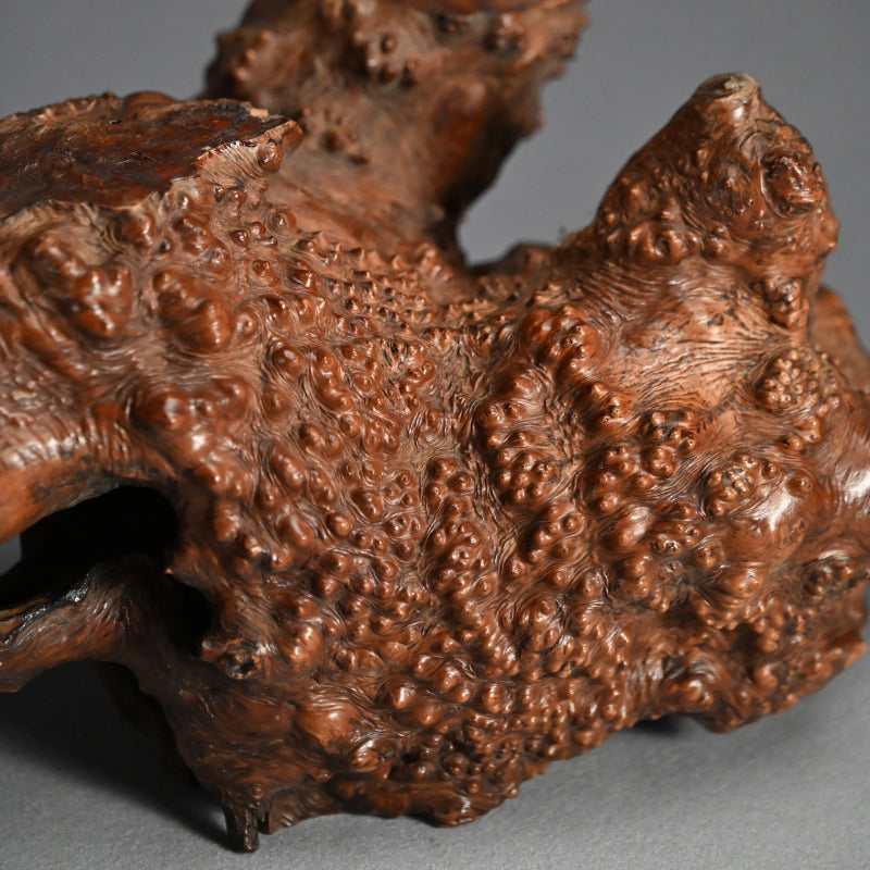 Antique Japanese polished Natural Root-Wood Stand