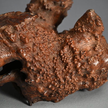 Antique Japanese polished Natural Root-Wood Stand