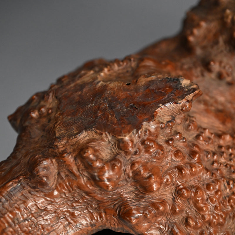 Antique Japanese polished Natural Root-Wood Stand