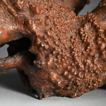 Antique Japanese polished Natural Root-Wood Stand
