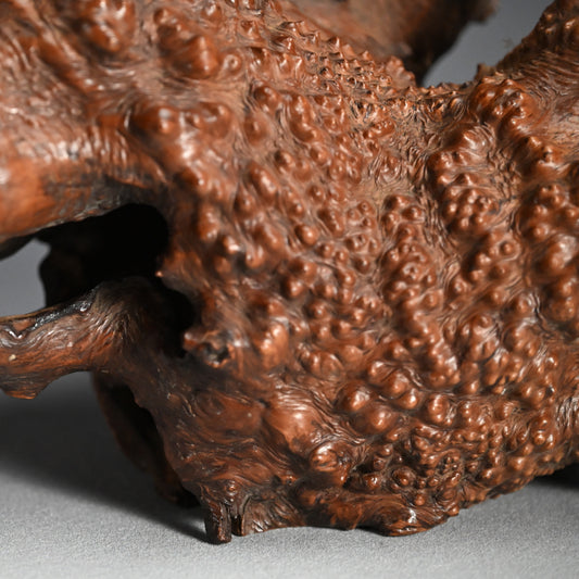 Antique Japanese polished Natural Root-Wood Stand