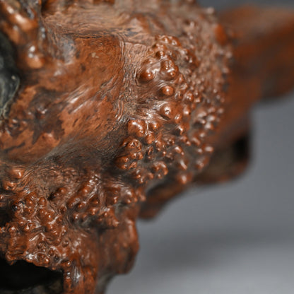 Antique Japanese polished Natural Root-Wood Stand