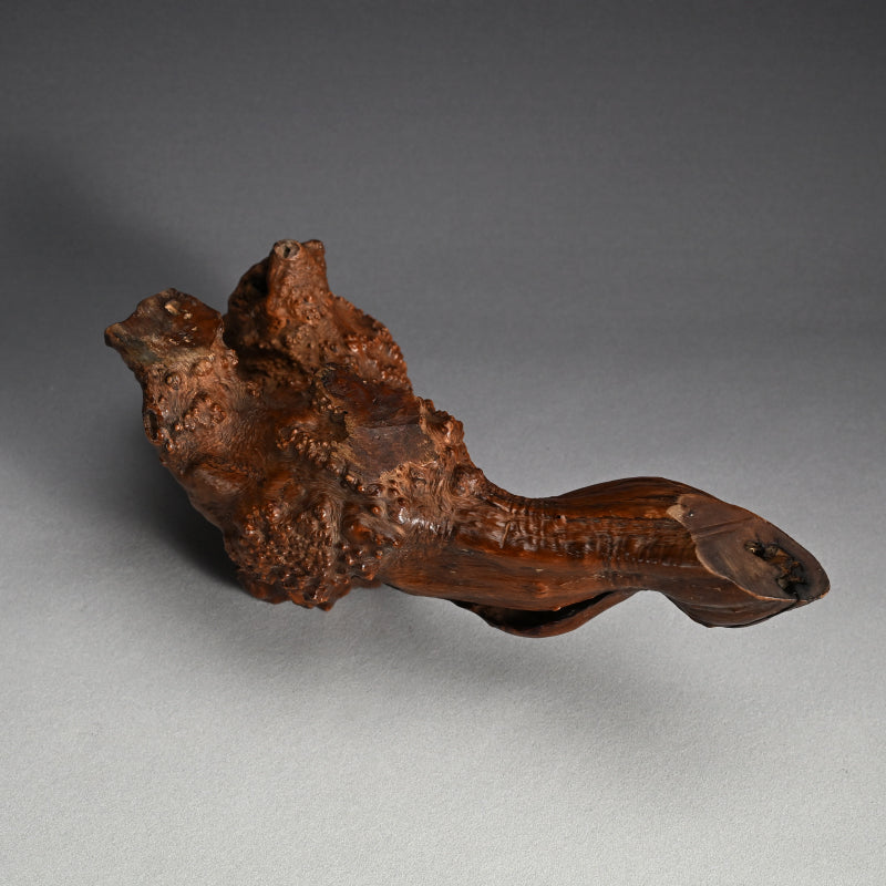 Antique Japanese polished Natural Root-Wood Stand