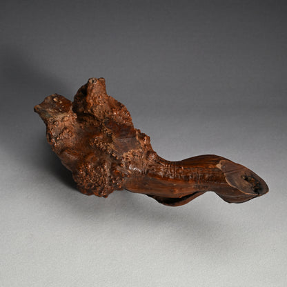 Antique Japanese polished Natural Root-Wood Stand