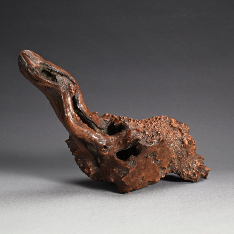 Antique Japanese polished Natural Root-Wood Stand