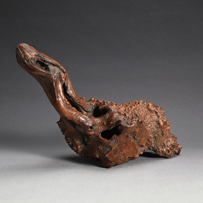Antique Japanese polished Natural Root-Wood Stand
