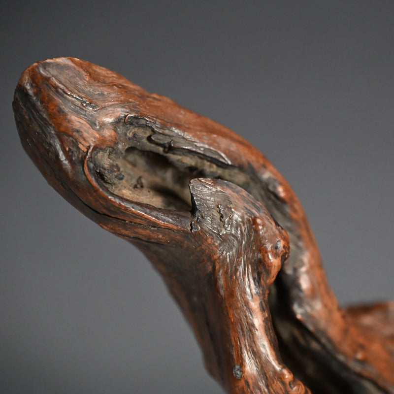 Antique Japanese polished Natural Root-Wood Stand