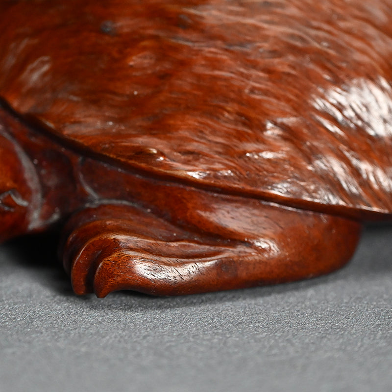 Antique Japanese Rootwood Turtle Okimono
