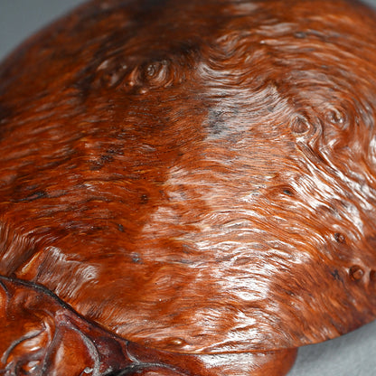 Antique Japanese Rootwood Turtle Okimono