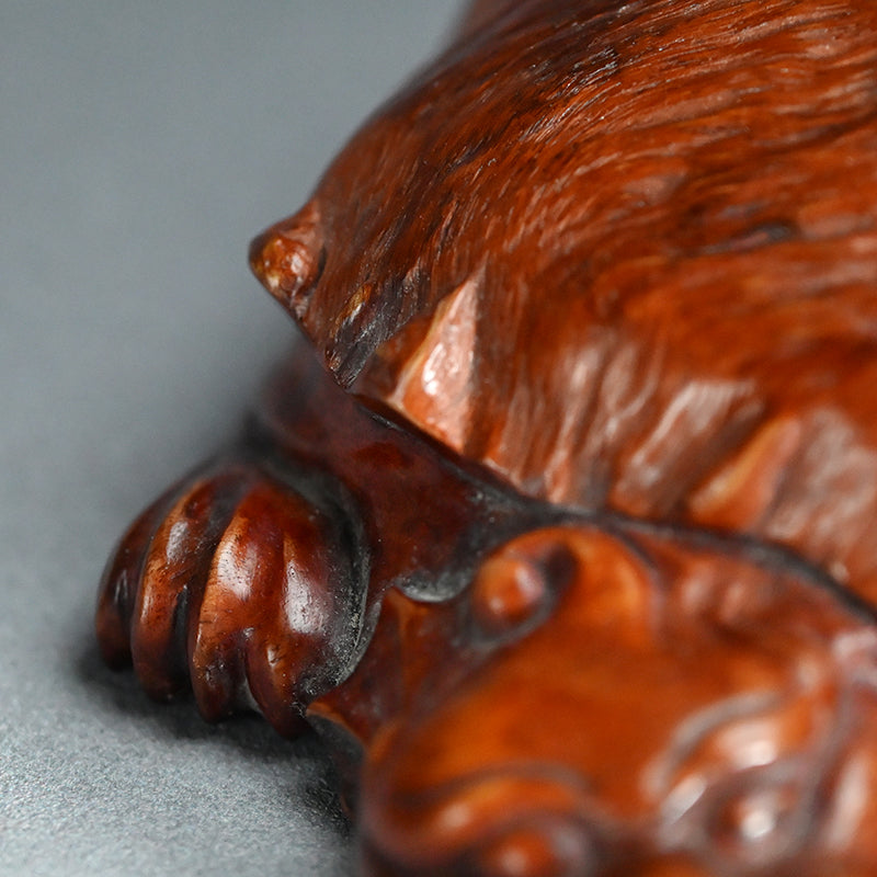 Antique Japanese Rootwood Turtle Okimono