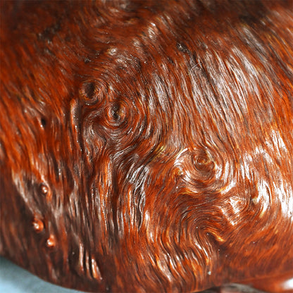 Antique Japanese Rootwood Turtle Okimono