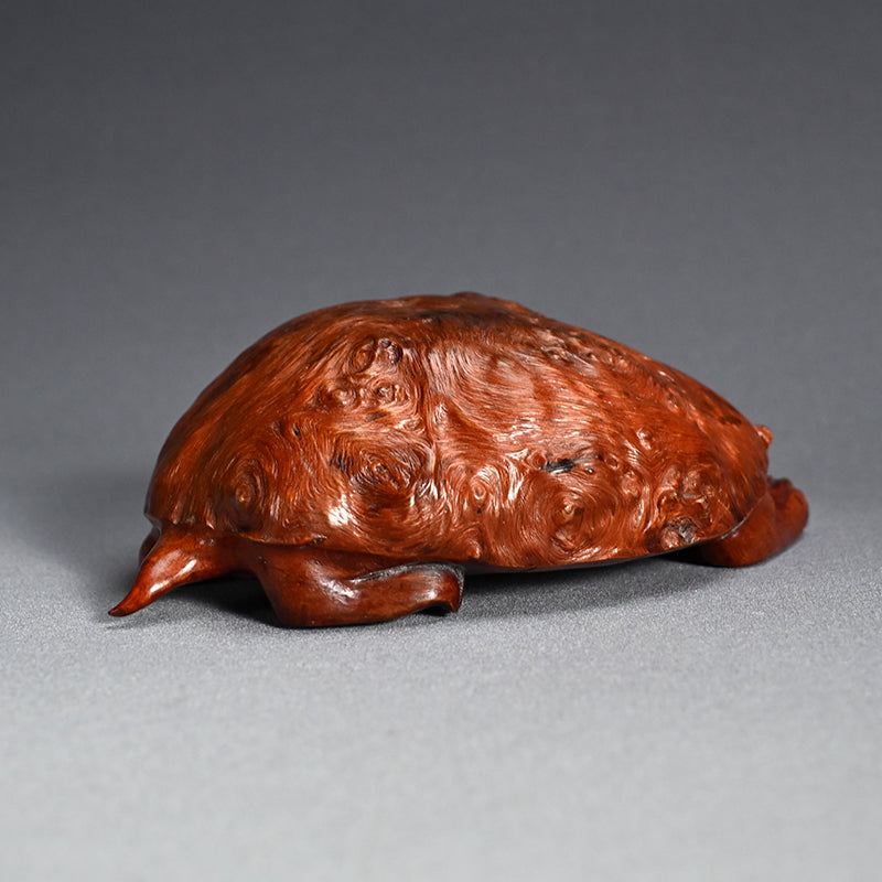 Antique Japanese Rootwood Turtle Okimono