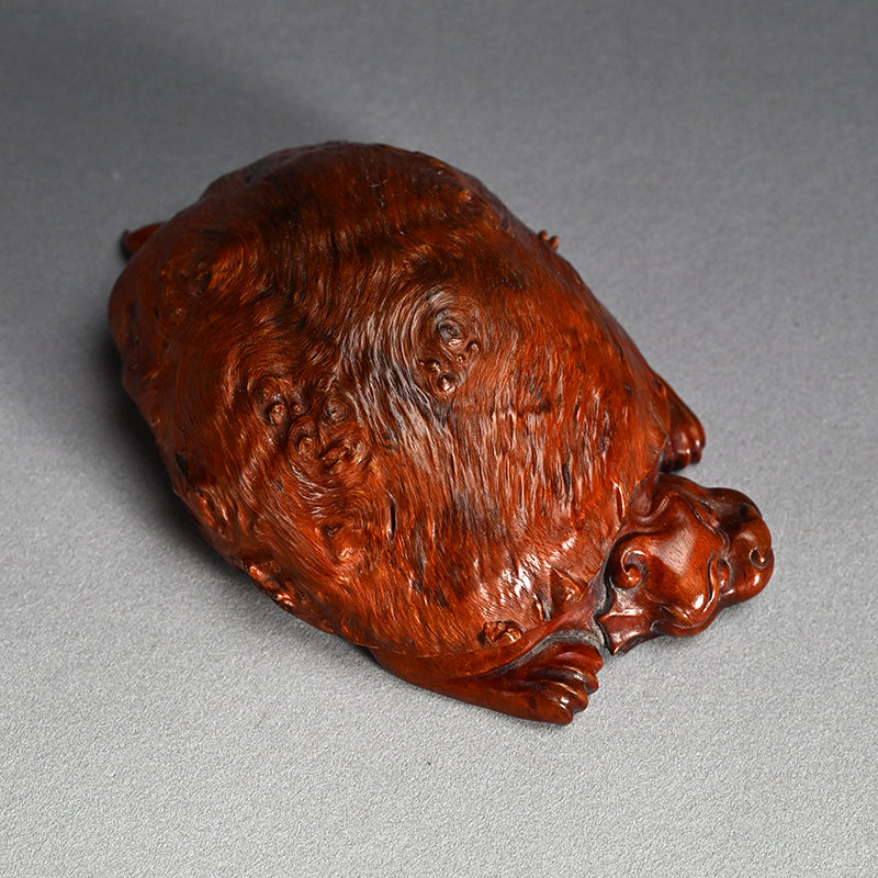 Antique Japanese Rootwood Turtle Okimono