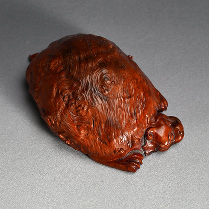 Antique Japanese Rootwood Turtle Okimono