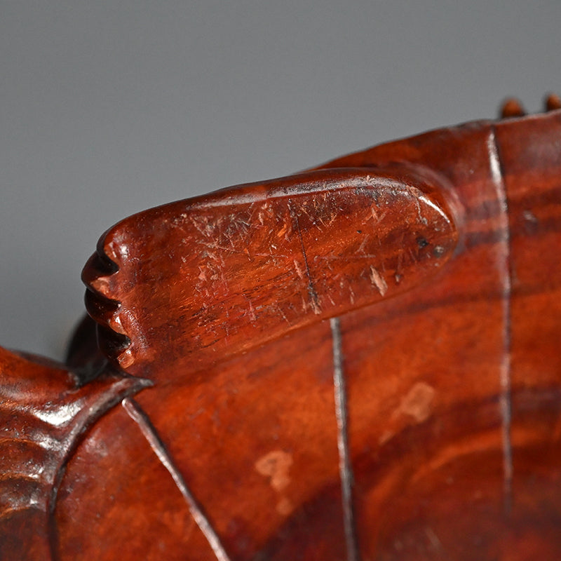 Antique Japanese Rootwood Turtle Okimono