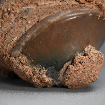 Early Edo period Seto Kiln Flaw, Tenmoku Chawan Tea Bowl