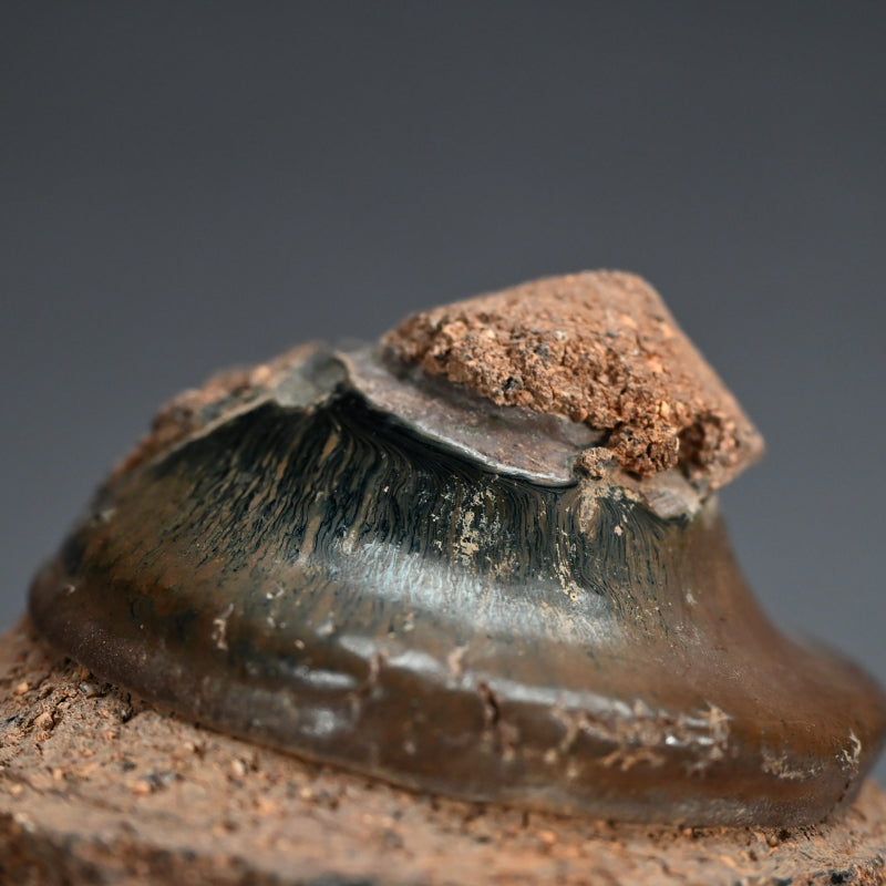 Early Edo period Seto Kiln Flaw, Tenmoku Chawan Tea Bowl