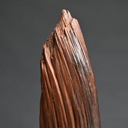 Natural Wood Tanzaku Kake Poem Card Hanger