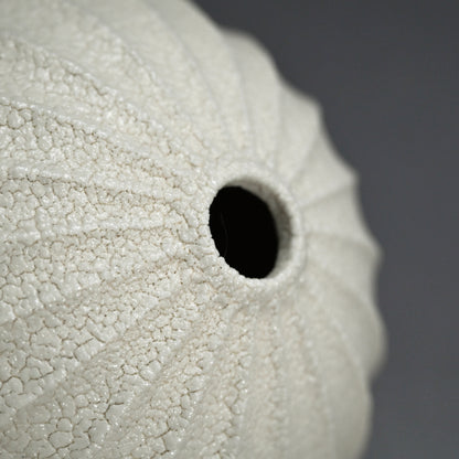 Faceted Shino Vase ー酒井 博司 “志野壺”