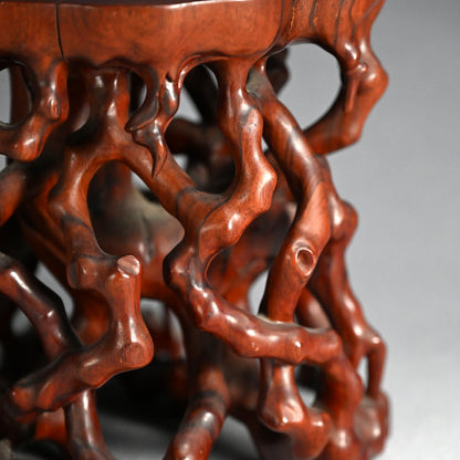 Beautiful Chinese Scholar Art Root Wood Stand